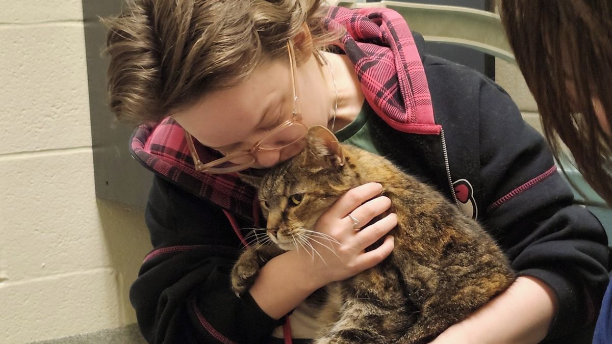 Zatoulaná kočka se po pěti letech našla v cizím sklepě